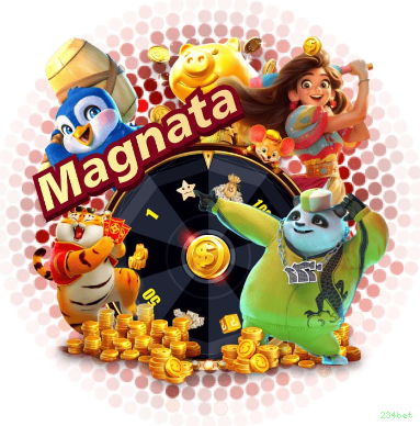 Segurança 234bet SSL